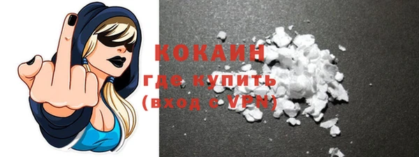 прущие грибы Горняк