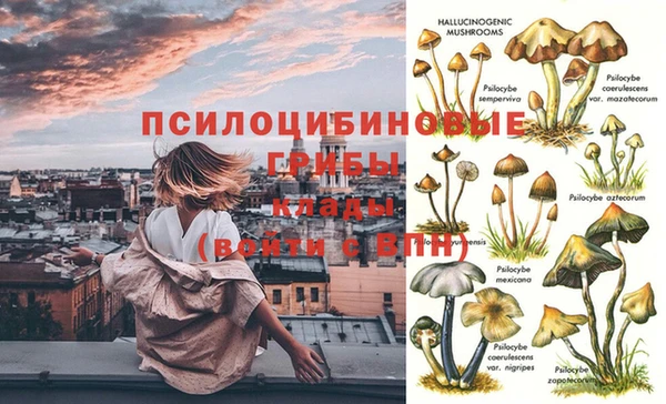 бошки Гусиноозёрск