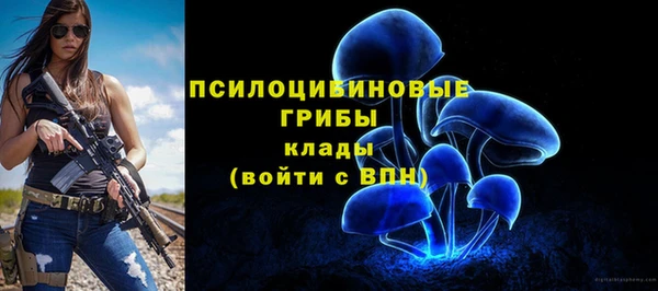 бошки Гусиноозёрск