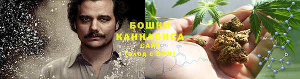гидропоника Горно-Алтайск